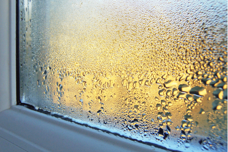Condensation Forming on an Interior Window, a Common Sign of Excess Indoor Humidity That Can Contribute to Moisture Problems, Mold Growth, and Poor Indoor Air Quality | Piermagic®